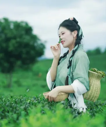 沪上美食日历｜上海聚会清单｜夜游地图：这份宝藏攻略让你从早嗨到晚🍜